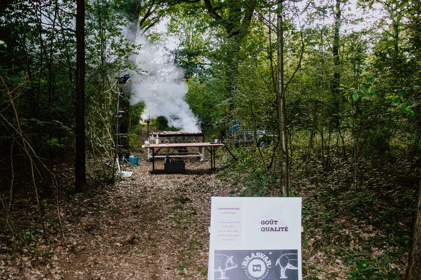 Sous-bois et broche au loin — La Flambée